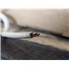 Image 3 : BOÎTE DE FIL 4C/22 AWG BLANC