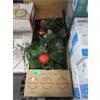 Image 1 : 9 Foot LED Garland w/ 100 LED Lights - Open Box