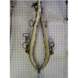 Set of Hames