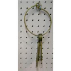 Ring with Brass Skelton Keys