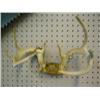 Image 1 : Non Typical White Tail Antlers