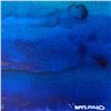 Image 2 : Wyland Original Watercolor on Paper
