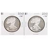 Image 1 : Lot of (2) 2010-W $1 Proof American Silver Eagle Coins