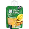 Image 1 : CASE WITH 12 99G GERBER ORGANIC PUREES MANGO