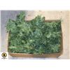 BOX WITH 3 NINE FOOT LONG SPRUCE GARLANDS - THEY