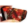 Image 1 : 14)  NATURAL ORANGE/RED FIRE AMMOLITE FREE FORM