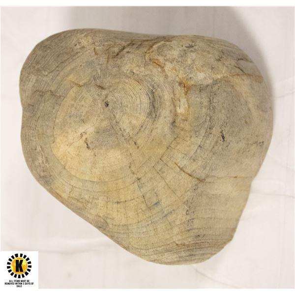 PETRIFIED WOOD PIECE