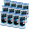 Image 1 : NEW CASE OF 12 POOLPURE REPLACEMENT FILTERS FOR
