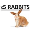 NEW 5 PACK OF COLLECTIBLE SCHLEICH RABBITS