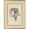 Image 1 : Jan Gunlock Bighorn Limited Edition    [133282]