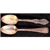 Image 1 : Comstock Sterling Silver Spoon Duo    [175725]