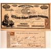 Image 1 : El Taste Silver Mining Co. Stock  1865  [107794]