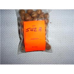 60 12mm nut beads, mottled brown