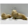 Image 1 : Inuit Seal Fur Figurines Authentic