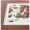 Image 12 : Bev Doolittle Hide And Seek Limited Print Set