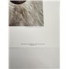 Image 3 : Carl Brenders Dall Sheep Portrait Limited Print