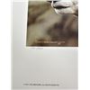 Image 4 : Carl Brenders Dall Sheep Portrait Limited Print