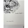 Image 5 : Charles Frace Suite of Big Cat Prints