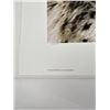 Image 3 : Carl Brenders Snow Leopard Portrait Limited Print