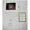Image 1 : Carl Brenders Close Up Cougar Limited Print