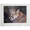 Image 2 : Carl Brenders Close Up Cougar Limited Print