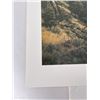Image 2 : Barbara Peets Impenetrable Sanctuary Limited Print