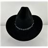 Image 4 : Stetson Black Dillon 4x Beaver Cowboy Hat