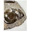 Image 5 : Fossil Ammonites In Medium
