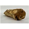 Image 3 : Petrified Fossil Wooly Mammoth Tusk Segment