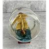 Image 3 : Folk Art Ship in a Bottle Model