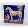 Image 7 : Renwal The Visible Horse Model Kit