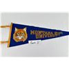 Image 3 : Montana State University Felt Pennant