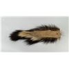 Image 4 : Native American Indian Skunk Tail Hair Ornament