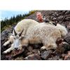 Image 1 : Northern BC Trophy Mountain Goat Hunt 2024
