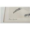 Image 3 : Kenojuak Ashevak Bird Spirit Engraving