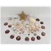Image 1 : Collection of Sea Shells