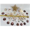 Image 4 : Collection of Sea Shells