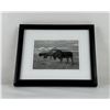 Image 1 : Montana Ghost Buffalo Photo