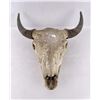 Image 1 : Nice Large Montana Buffalo Skull