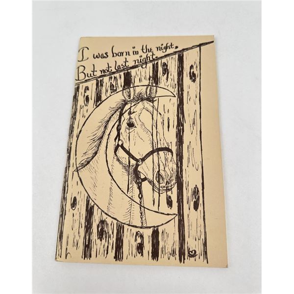 I was Born In The Night But Not Last Night