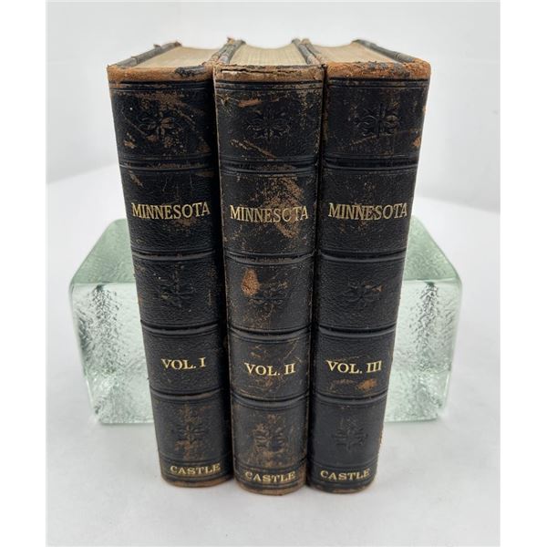 Minnesota Its Story and Biography