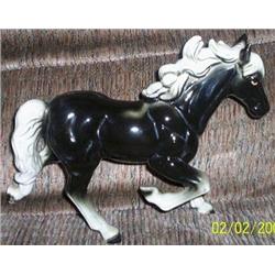 BLACK HORSE WITH WHITE MANE