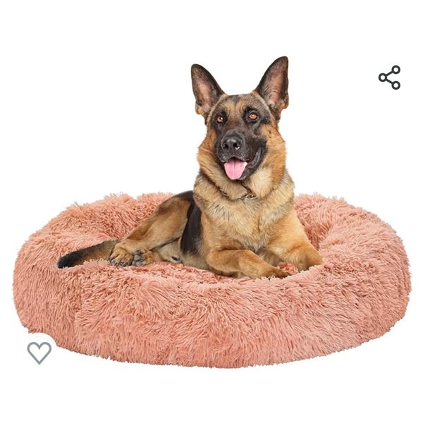 Pet Bed