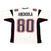 Image 1 : DANNY AMENDOLA SIGNED NEW ENGLAND PATRIOTS JERSEY (BECKETT COA)