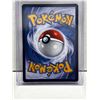 Image 2 : POKEMON CHINESE SNOWY MOUNTAIN OF DISASTER SNOW HAZARD