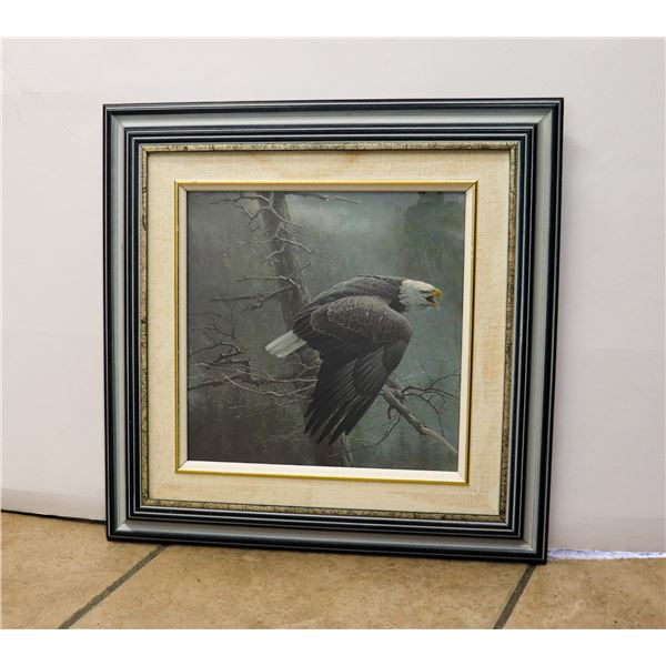 EAGLE PRINT FRAMED 17X17"