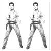 Image 1 : Double Elvis by Sunday B. Morning