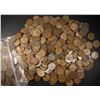 Image 1 : (1000) MIXED DATES WHEAT CENTS