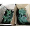 Image 2 : LOT DE 15+ GUIRLANDES DE NOËL ASSORTIES
