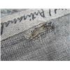 Image 2 : TAPIS 60” x 95” (5' x 6.5')